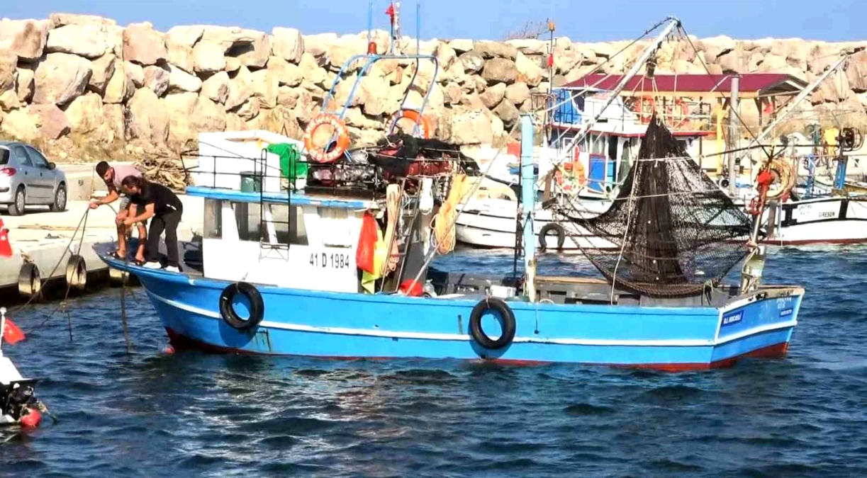 Karadeniz’in can damarı İstavrit bilinçsiz avlanma yüzünden tehlikede