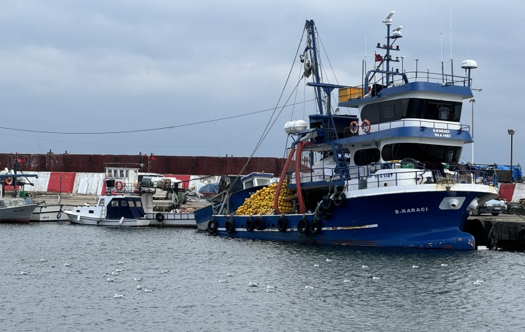 Tekirdağlı balıkçılar Marmara’da beklediklerini bulamayınca Karadeniz’e yöneldi