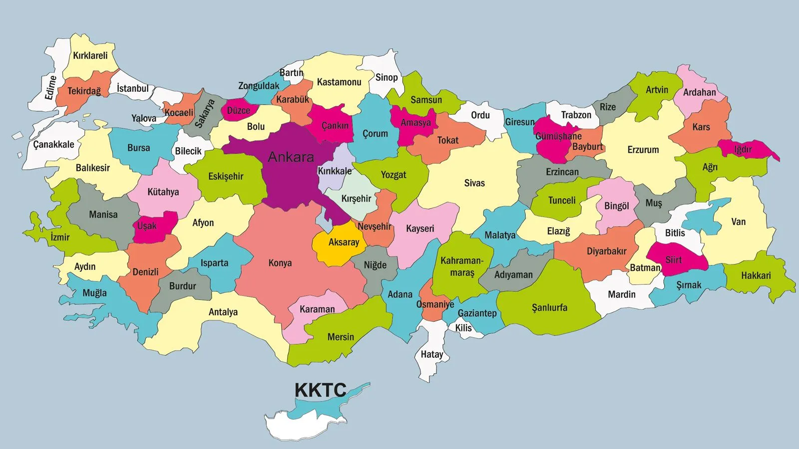 TÜİK’in il olacak ilçeleri arasında Şebinkarahisar ve Ünye’de var!