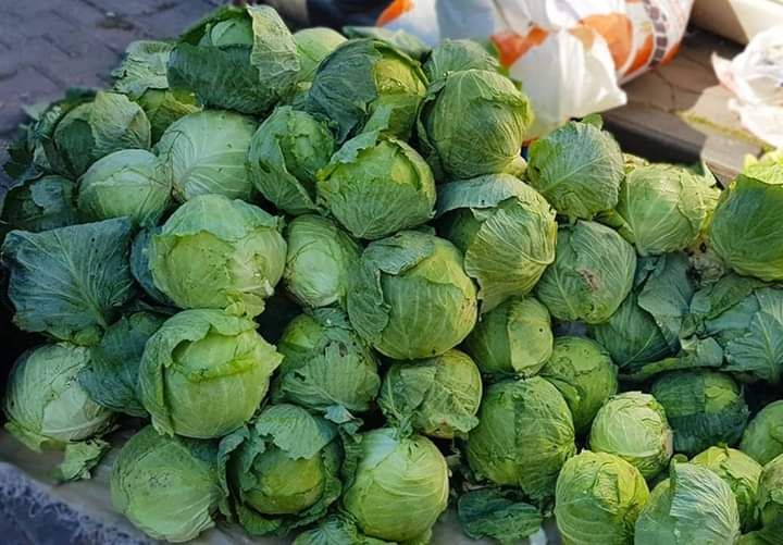 Giresun’un yerel lezzeti ‘Alucra Kelemi’ coğrafi tescil bekliyor