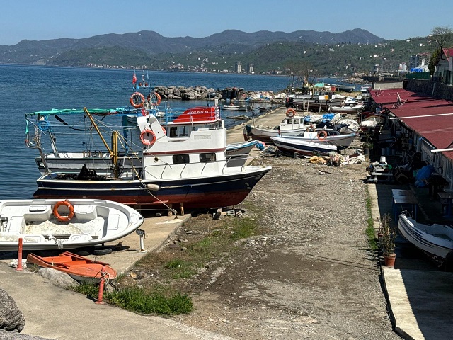 Palamut Hayal Kırıklığı Yaşatırken Hamsi Sevindirdi