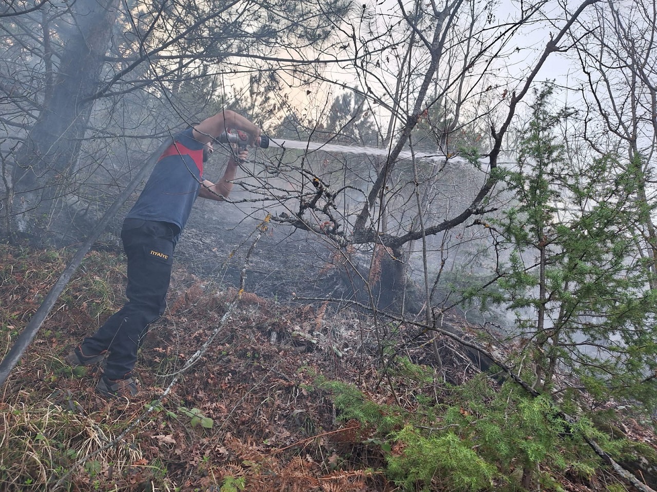 Sinop’un Gerze İlçesinde Çıkan Örtü Yangını Söndürüldü