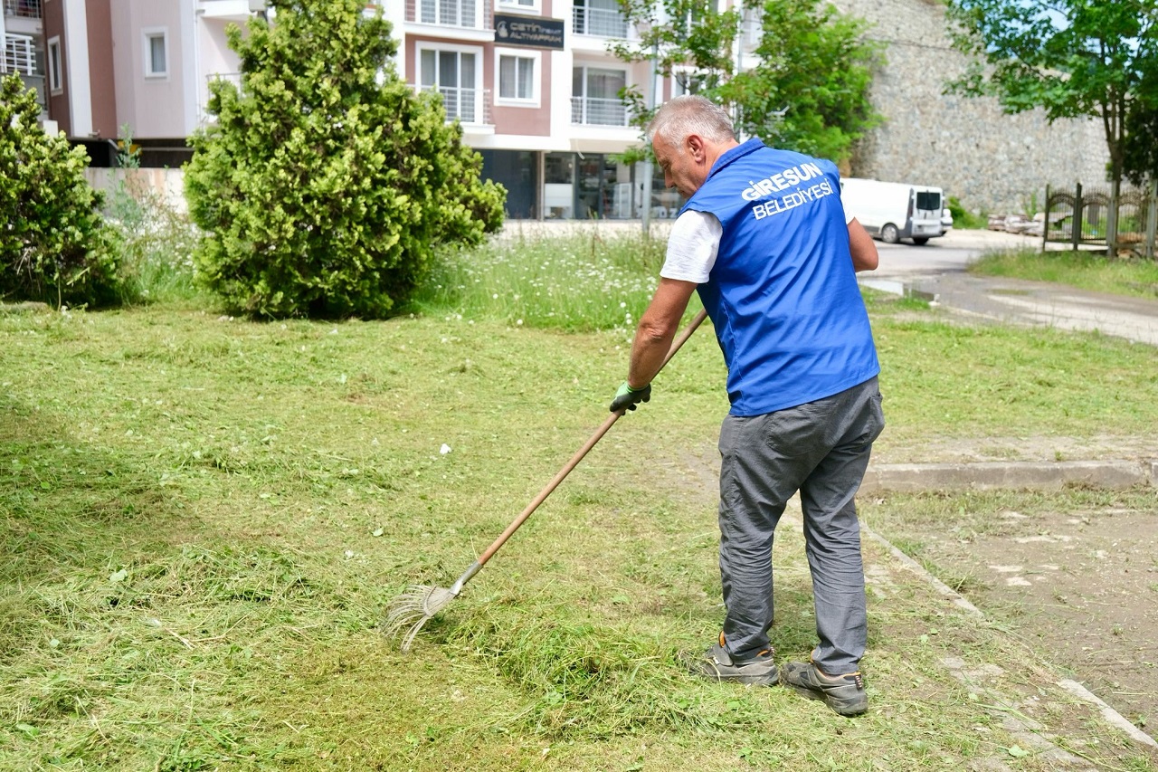 Yaz Temizliği