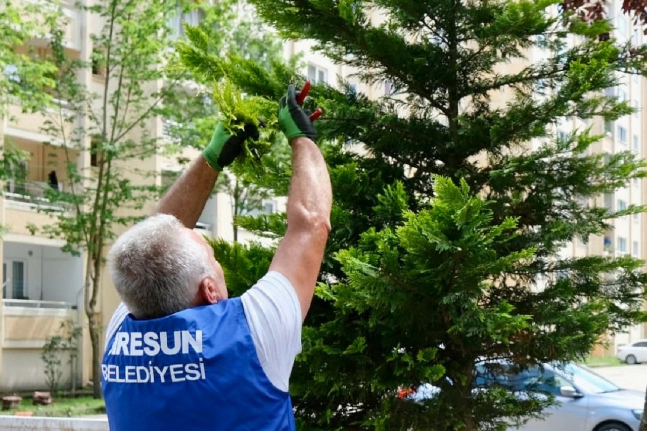 Giresun’da Yeşil Alanlarda Yaz Temizliği Başladı