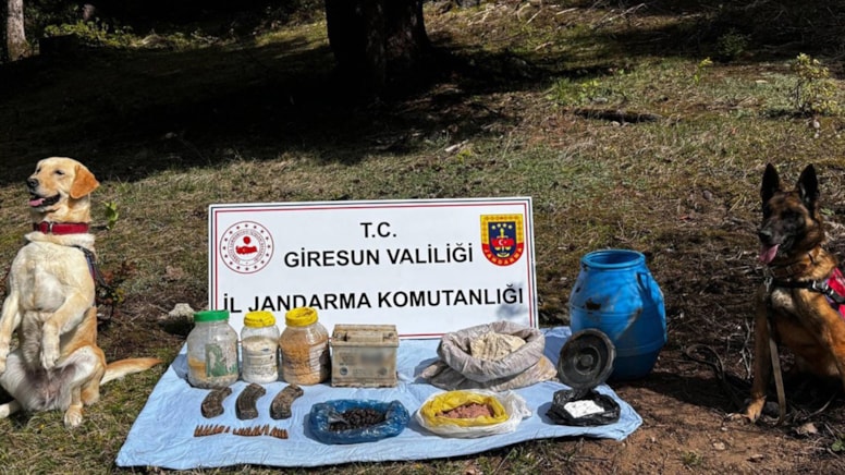 Giresun’da Terörist Sığınağı İmha Edildi