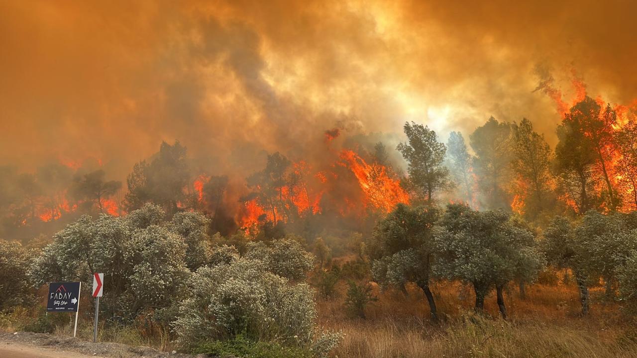 Erken Uyarı Sistemi Sayesinde Orman Yangınlarına Müdahale