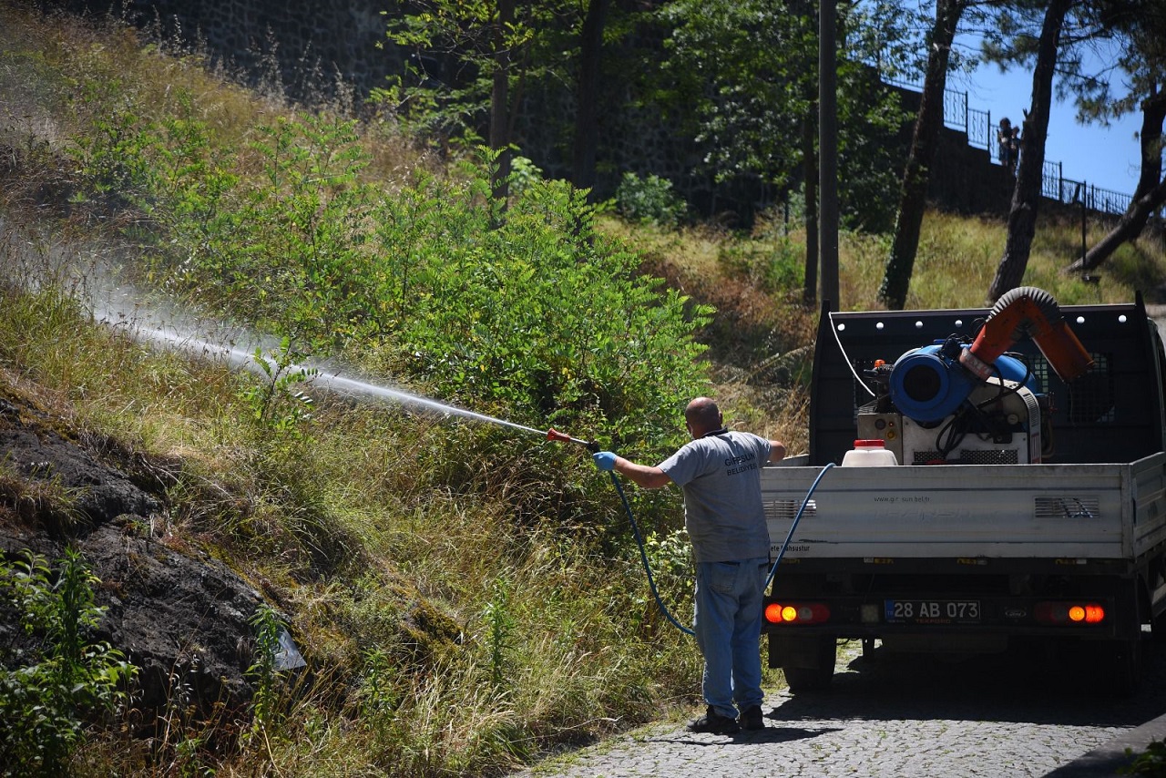 Giresun’da Haşere İlaçlama Çalışmaları Yoğunlaştı