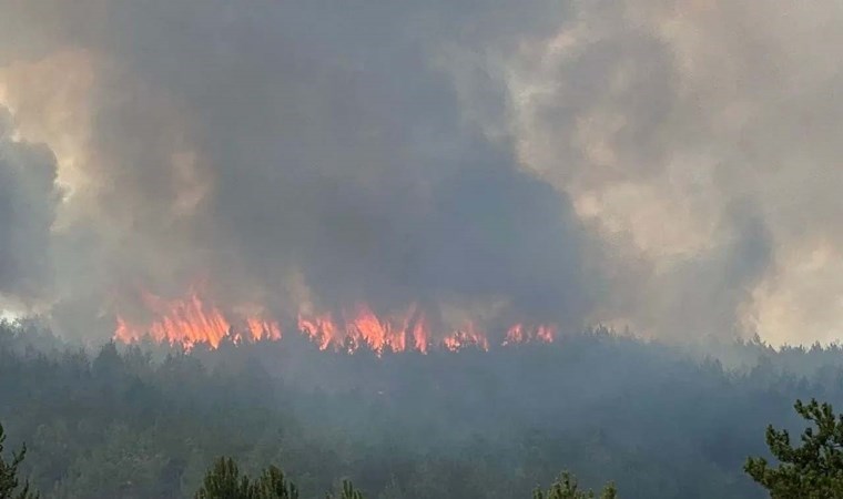 Kastamonu ve Karabük’te Orman Yangını: Müdahaleler Devam Ediyor!