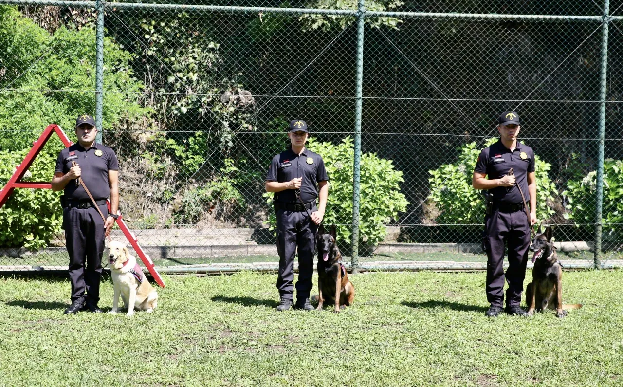 6 Şubat Kahramanları da Onlardı: Giresun Jandarması’nın Dedektör Köpekleri