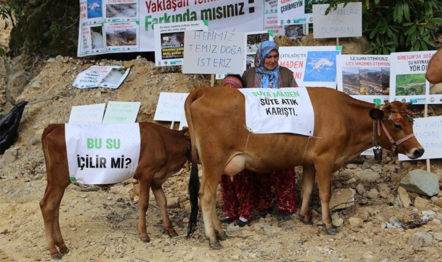 Giresun’da Halk AKP’li Milletvekilinin Madeni İçin Ayaklandı