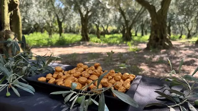 Lüksün Yeni Sembolü: Altın Kaplamalı Zeytin!