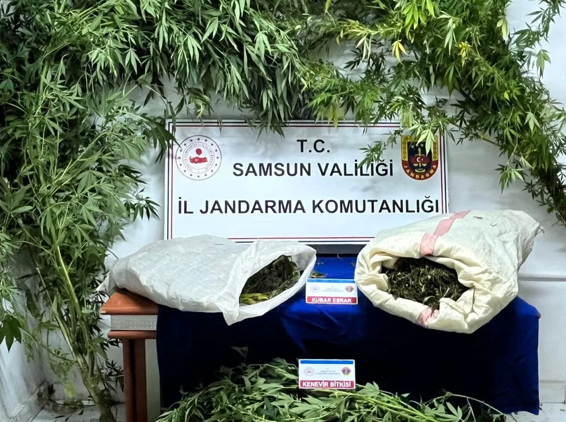 Samsun’da Uyuşturucu Operasyonunda 8 Kilogram Esrar Ele Geçirildi