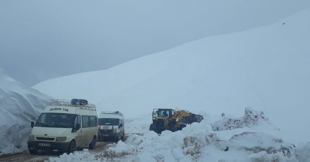 Giresun Sis Dağı’nda Mahsur Kalanlar Kurtarıldı