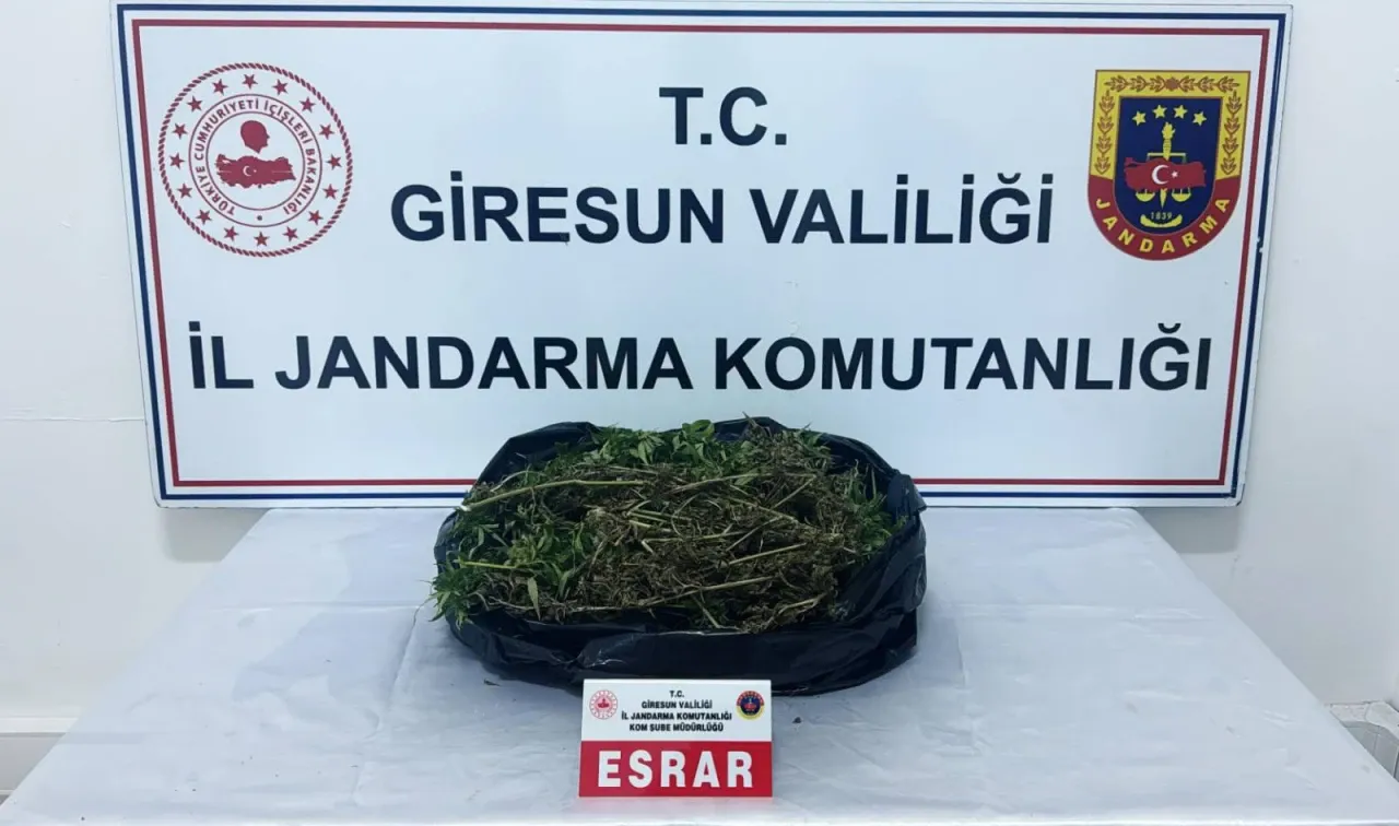 Giresun’da Uyuşturucu Operasyonunda 1 Kilo Esrar Yakalandı