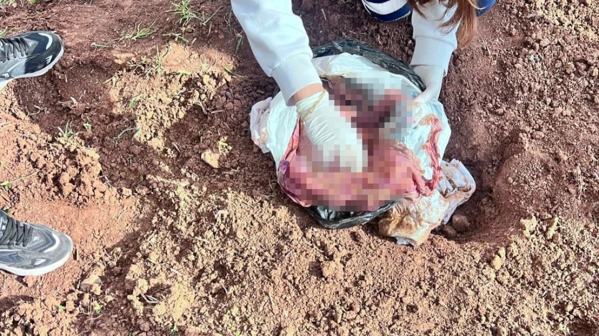 Şırnak’ta Dehşet Veren Olayı: Bebek Boğulup Gizlendi