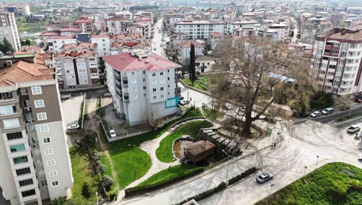 Çarşamba’da 6 Asırlık Çınar ve 220 Yıllık Paşa Değirmeni, Tarihin İzlerini Taşıyor