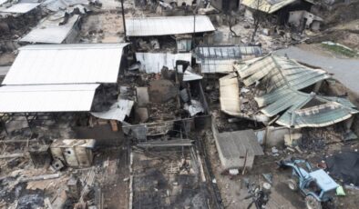 Güney Kore’de Orman Yangınları Yeniden Alevlendi: Ölü Sayısı 30’a Yükseldi