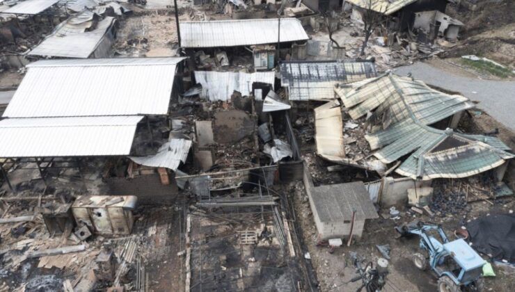 Güney Kore’de Orman Yangınları Yeniden Alevlendi: Ölü Sayısı 30’a Yükseldi