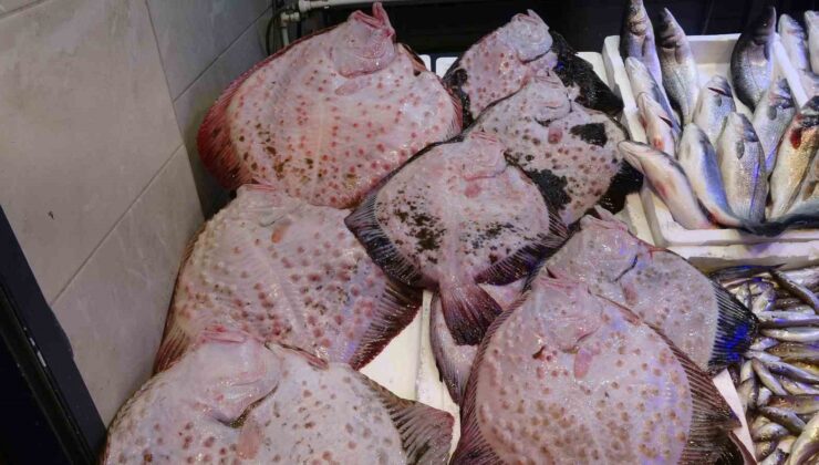 Sezonun Sonuna Gelinirken Büyük Sürpriz