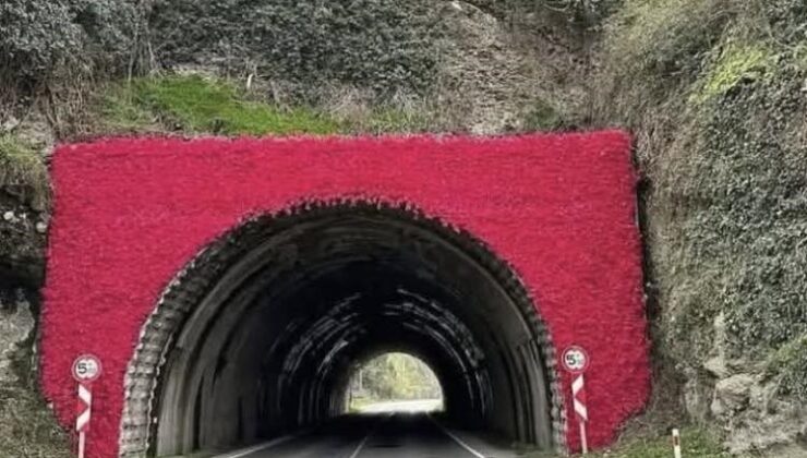 Ordu’nun Perşembe İlçesinde ‘Cittaslow’ Temalı Logo Çalışması Başladı