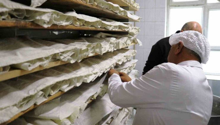Samsun’da Gıda Mevzuatına Aykırı 40 İşletmeye 5,5 Milyon TL Ceza