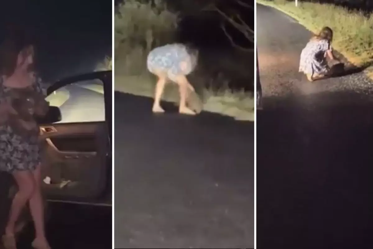 ABD’li Fenomen Sam Jones’un Vombat Skandalı Büyüyor