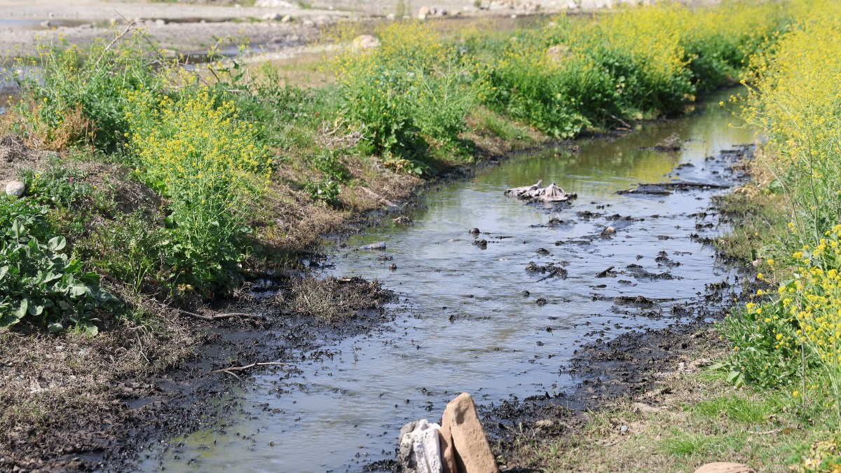 Adana’da dere yatakları siyah aktı: Mahalle sakinleri kirliliğe tepki gösterdi