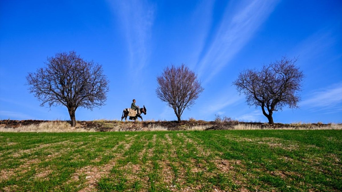 Adıyaman, bu yıl bahara erken girdi