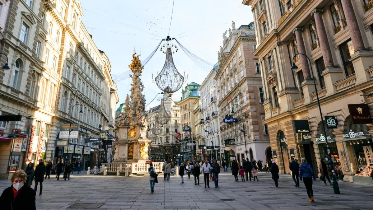 Avusturya’da “2024 Irkçılık Raporu” yayınlandı