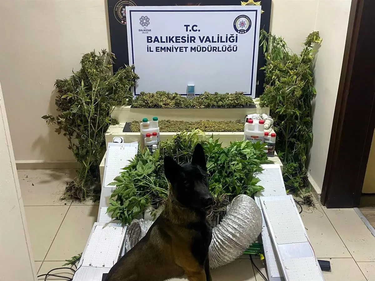 Bandırma’da Uyuşturucu Operasyonu