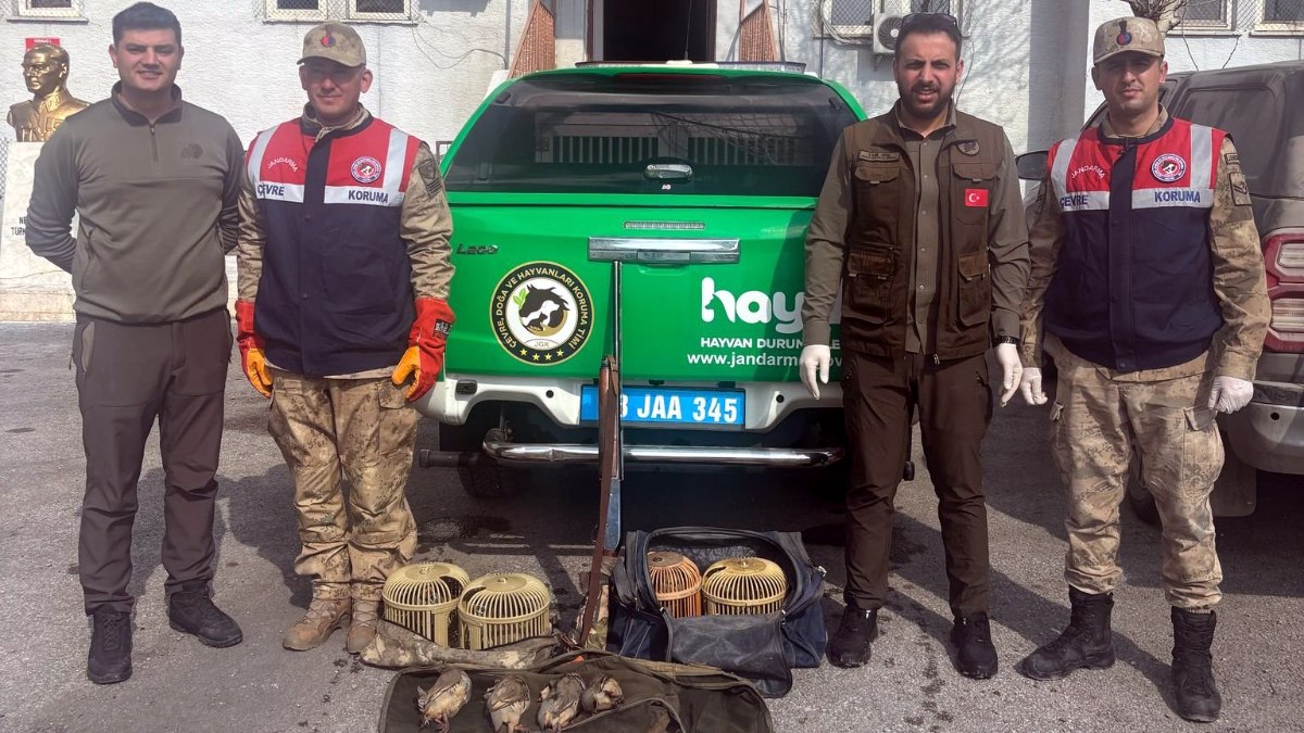 Bitlis’te kaçak keklik avcılarına ceza: 114 bin 910 bin TL