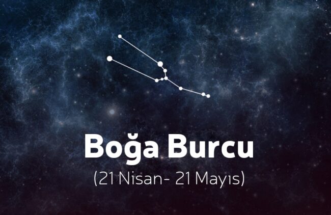 boğa