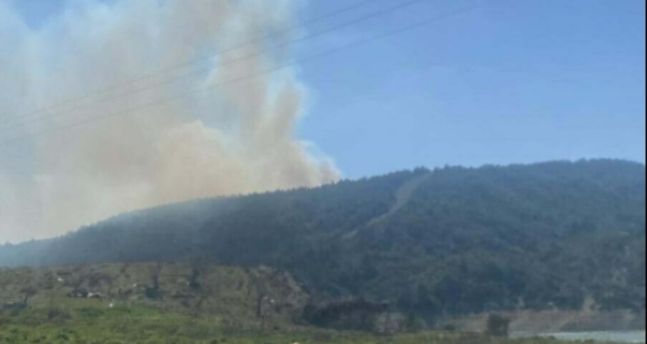 Çanakkale’de korkutan orman yangını!