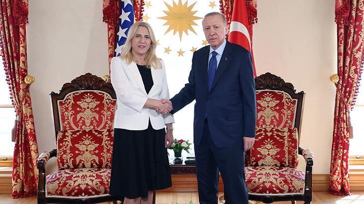 Cumhurbaşkanı Erdoğan Sviyanoviç’i kabul etti