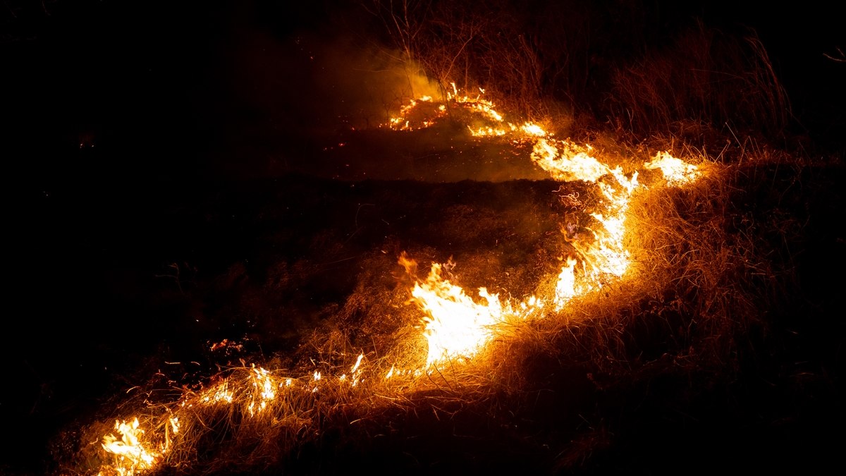 Güney Kore’deki orman yangınlarında ölü sayısı 15’e yükseldi