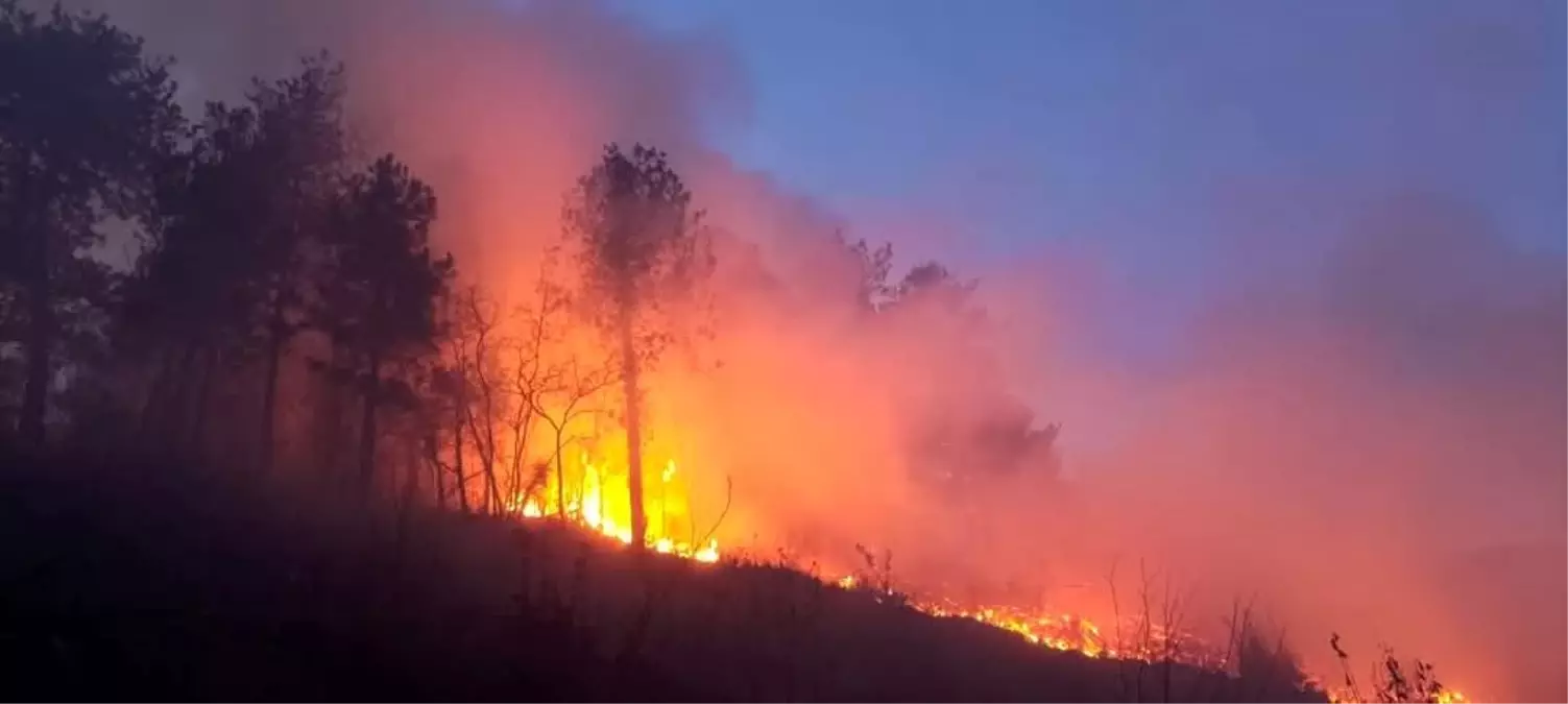 Hatay’da Orman Yangını Kontrol Altına Alındı