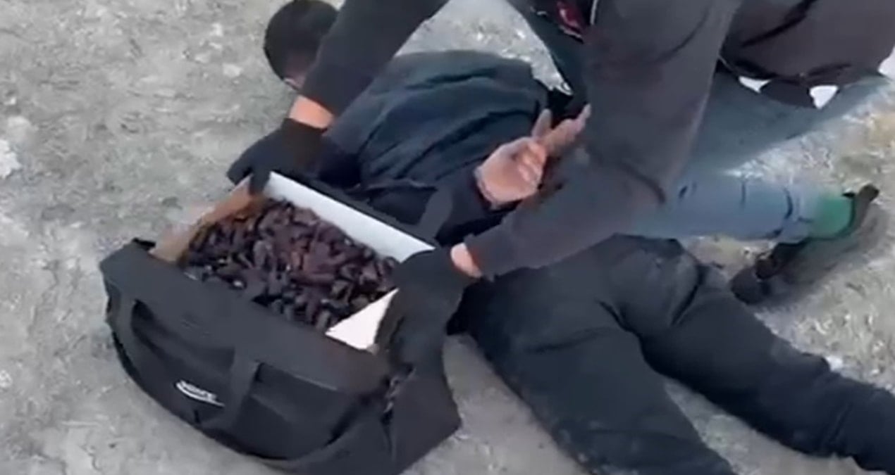 Hurma dolu çantanın içinden uyuşturucu çıktı