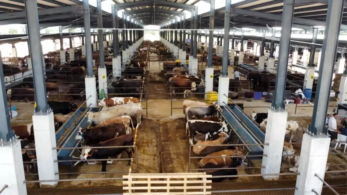 İnegöl Belediyesi Hayvan Pazarında Kurban Bayramı Kotra İhalesi 14 Nisan’da