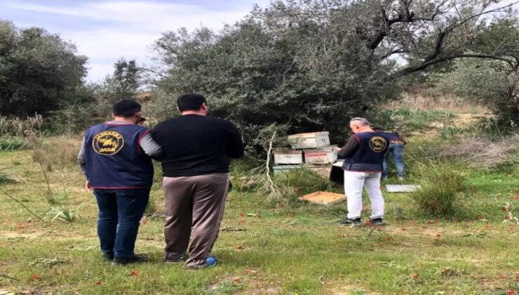 Isparta’da Arı Kovanı Hırsızlığına 3 Tutuklama