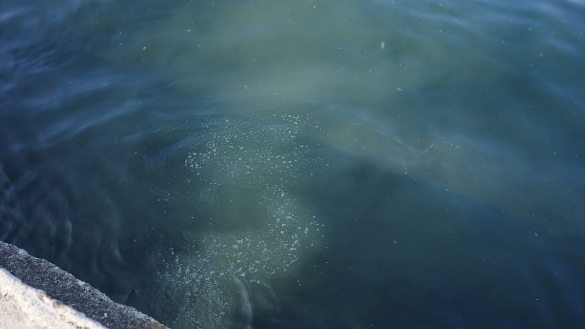 İstanbul Üsküdar’da kanalizasyon kirliliği Boğazı tehdit ediyor