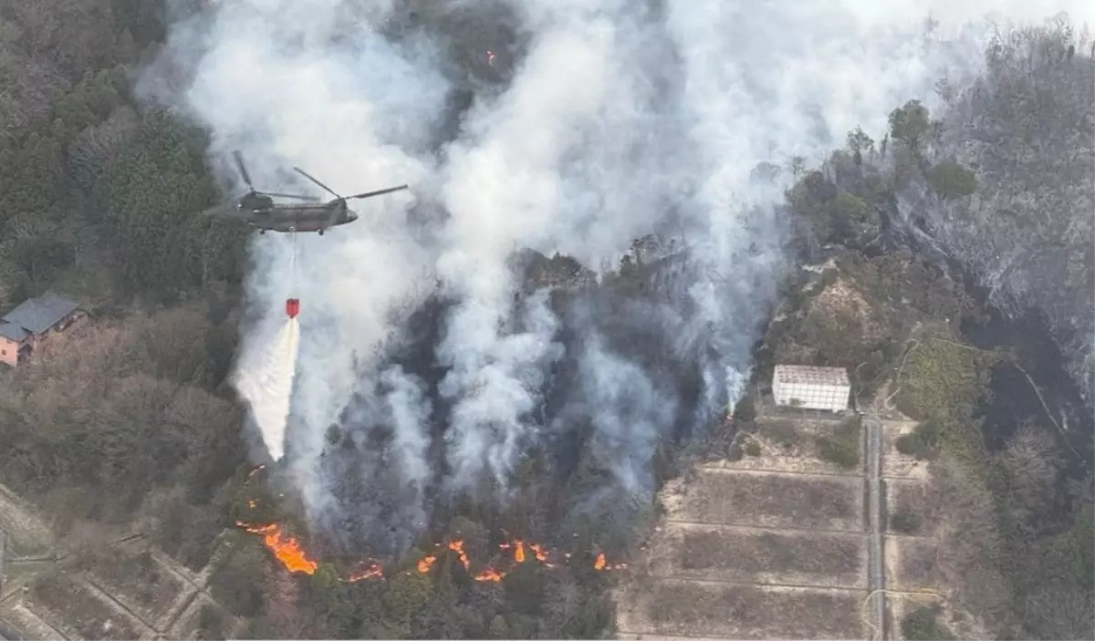 Japonya’da Orman Yangınları Kontrol Altına Alınamıyor