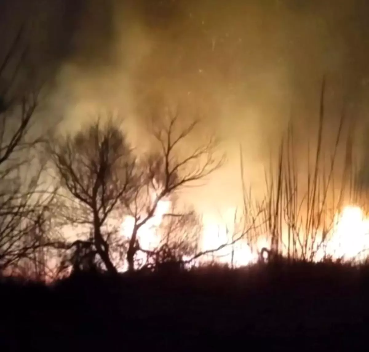 Kastabala Kuş Cenneti’nde Yangın Tekrar Alevlendi