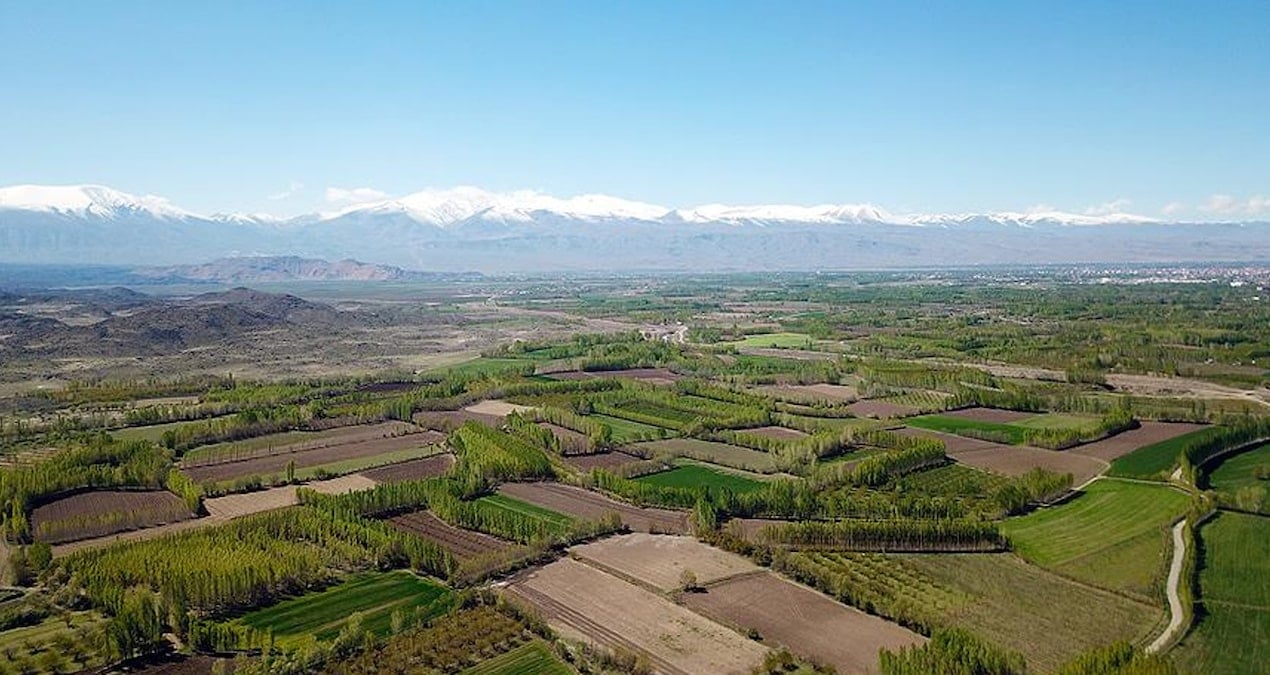 MHP’li başkanın muhalefete arsa oyunu: 2 yerine 4 arsa satışa çıkarılmış