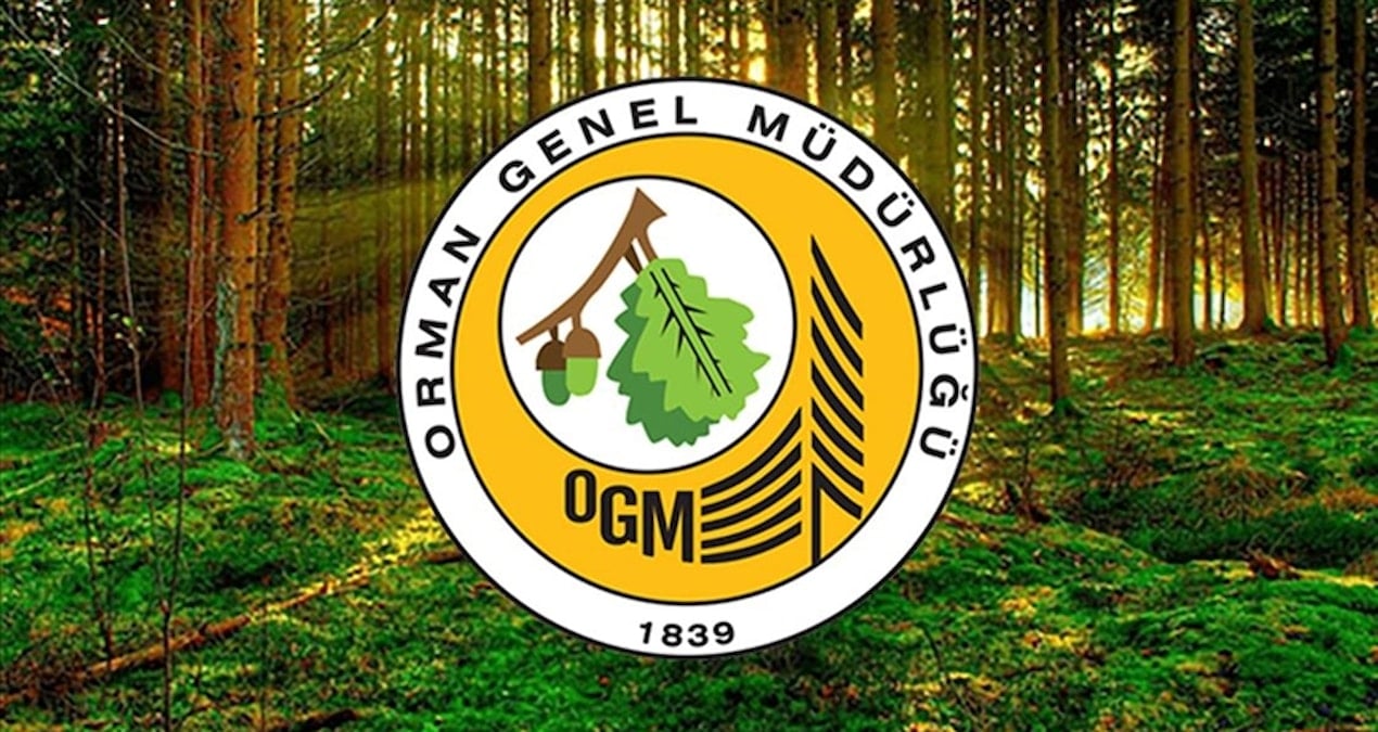 Orman Genel Müdürlüğü 252 daimi işçi alımı yapacak