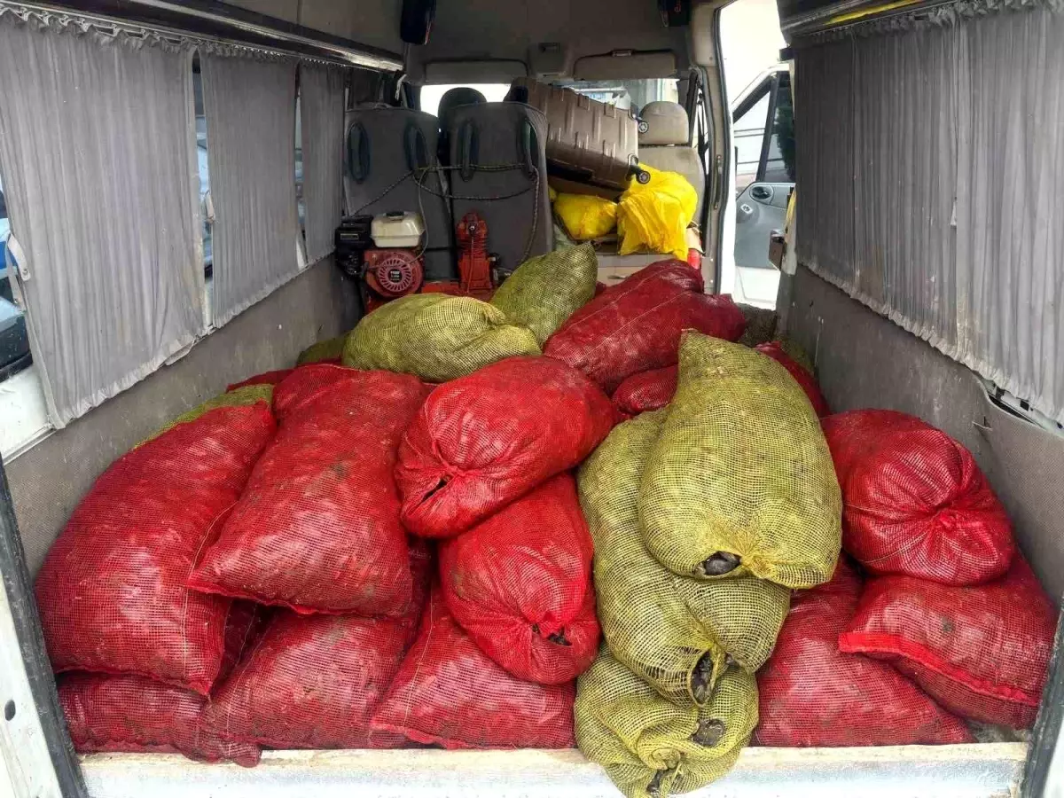 Samsun’da 1,5 Ton Kaçak Midye Ele Geçirildi