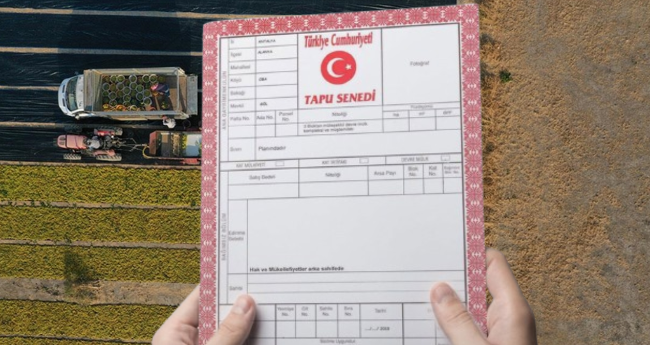 Tapu sahipleri dikkat: 180 gün içinde başvuru yapmayan hakkını kaybedecek