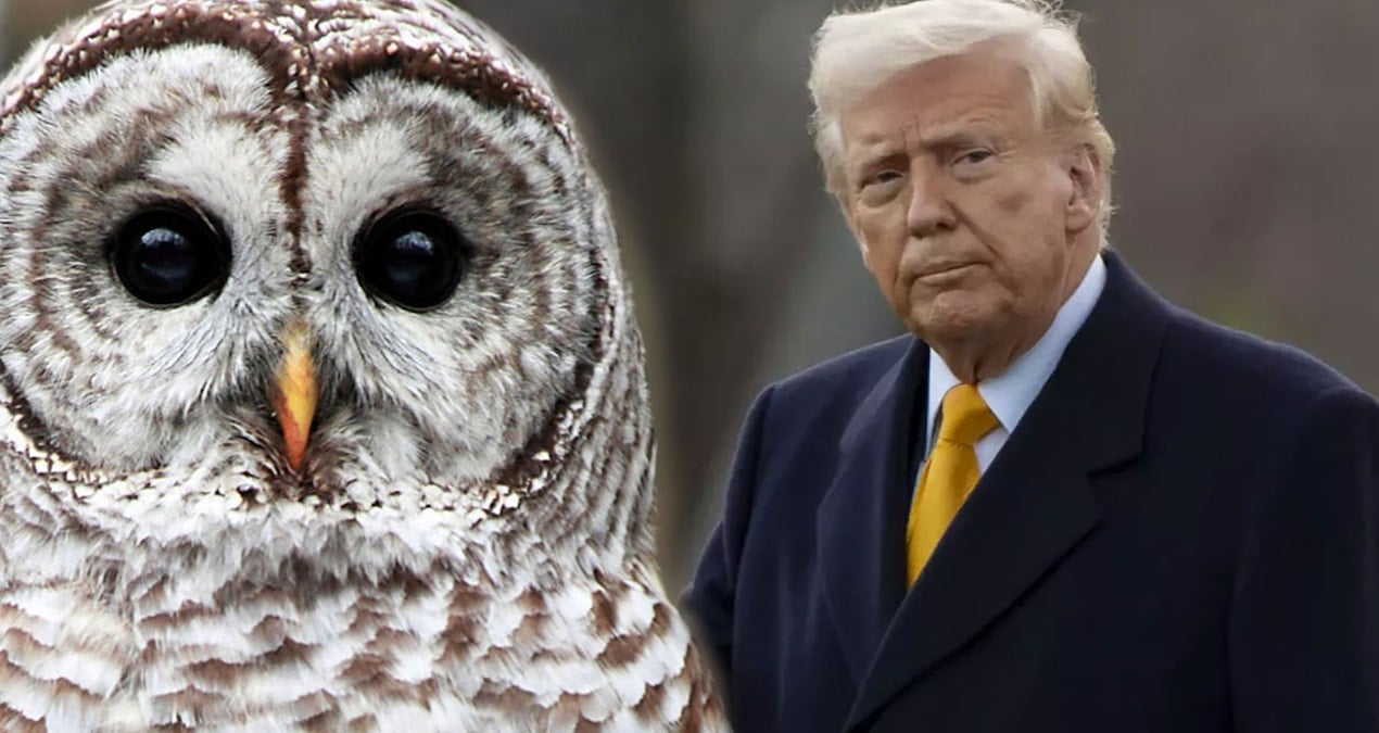 Trump’tan milyar dolarlık katliam hazırlığı