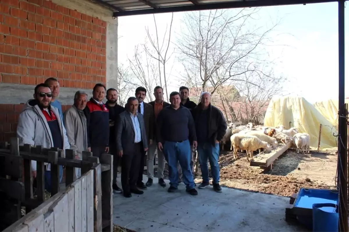 Yangın Mağduru Besiciye Destek