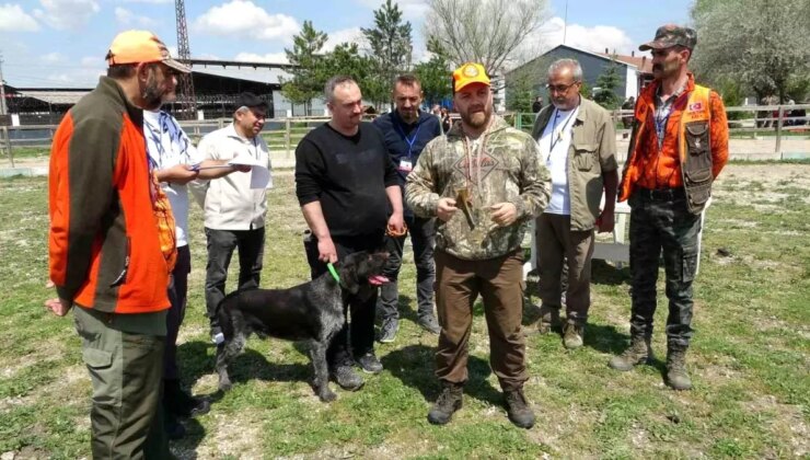 1. Geleneksel Fermalı Av Köpekleri Mera Yarışması Büyük İlgi Gördü