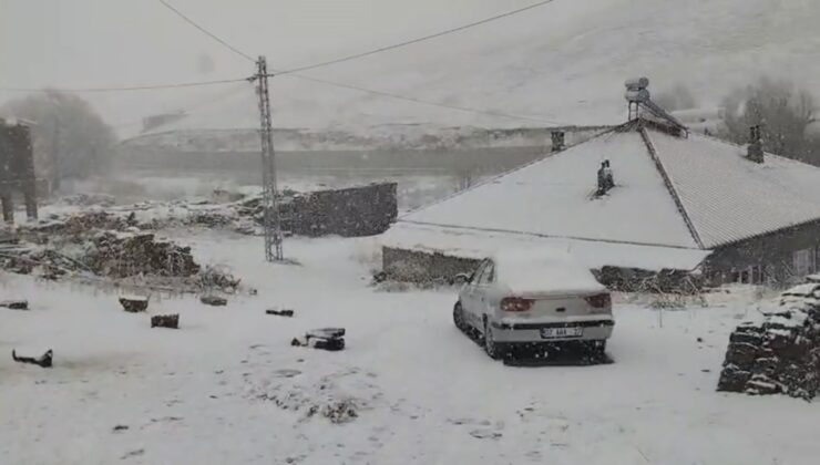 Ahlat’ta Nisan Ayında Kar Yağışı Şaşkınlık Yarattı